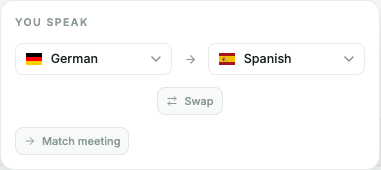 The You speak panel with two language dropdowns, a Swap button and a Match meeting button